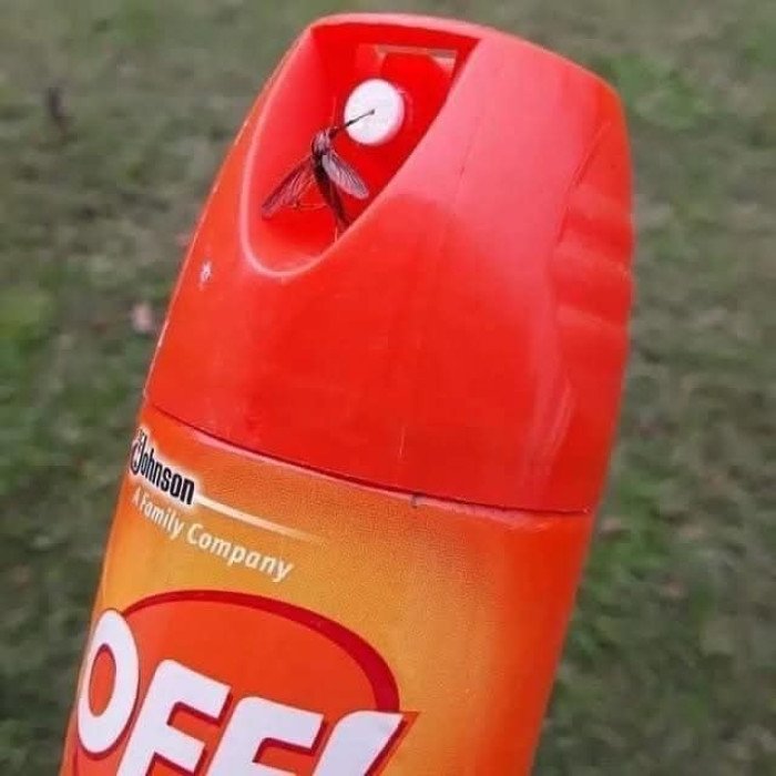 Vaincre le mal par le mal