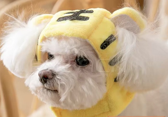 Approche un doigt tu prends 16 coups de crocs/secondes