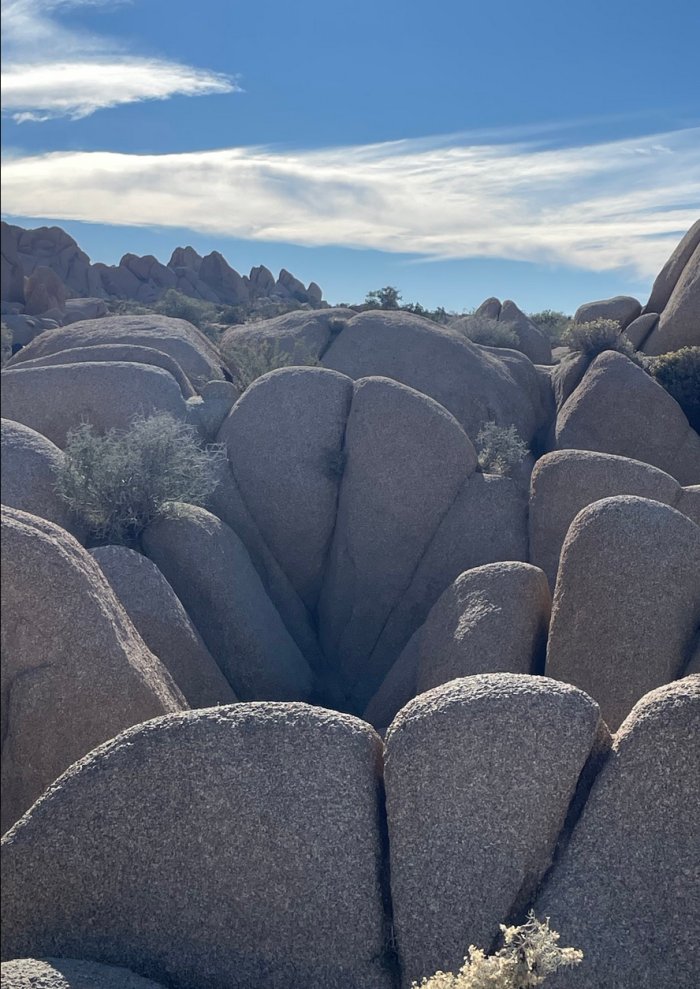 Tout me fais penser à elle.