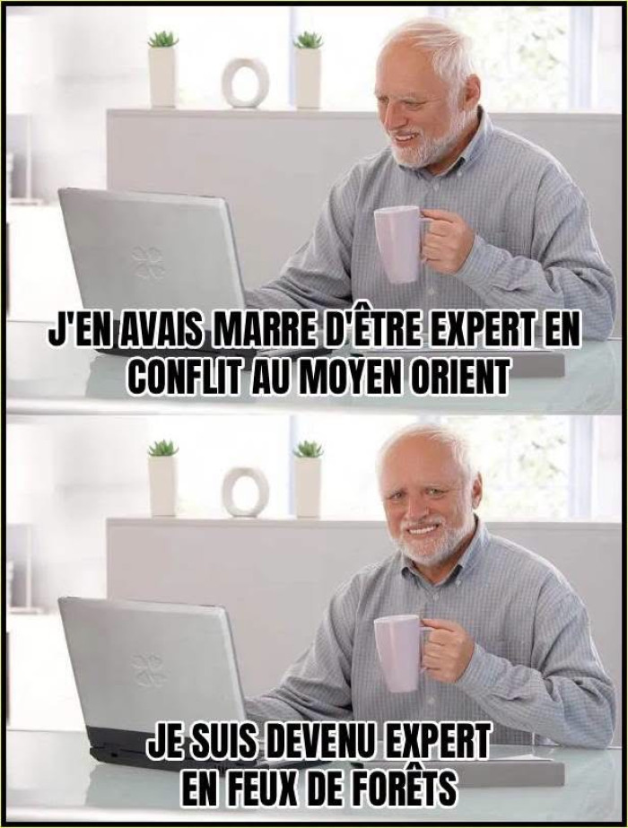 1785334669981.jpg