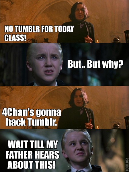 Pas de Tumblr aujourd'hui ! 