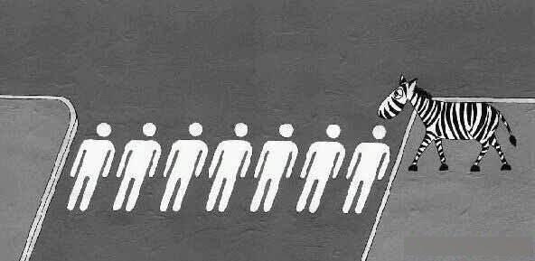 vengeance (Zebre, passage pietons)