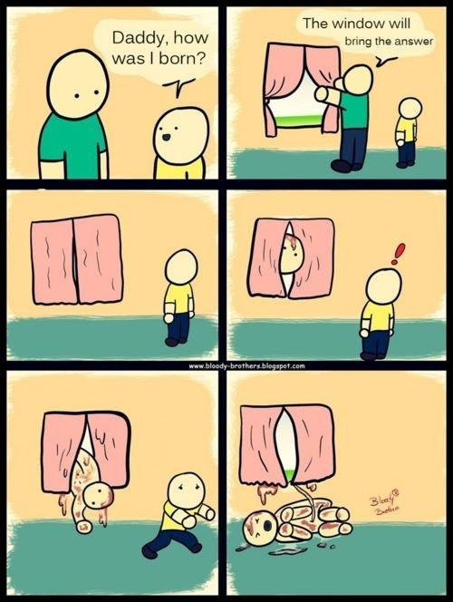 Comment suis-je née...éxplication avec une fenêtre.