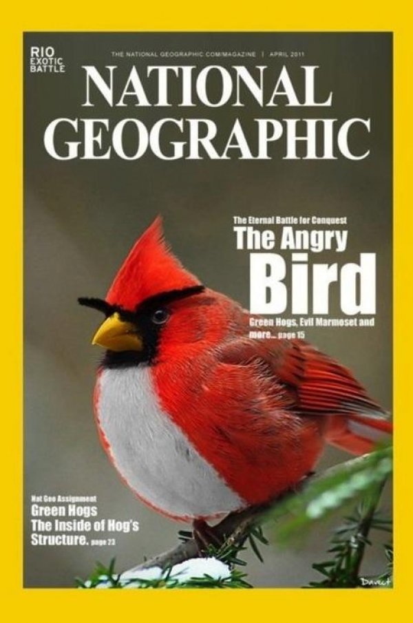 Angry Birds Irl