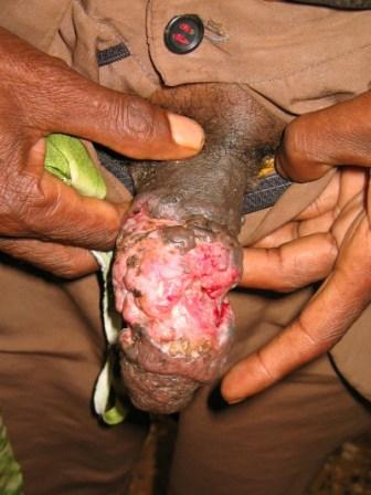 Une série bien sympa :)