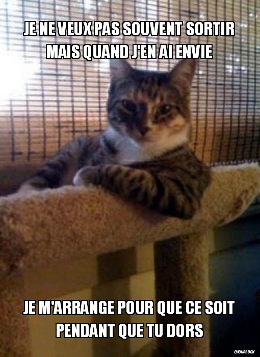 Réveilles toi, je veux sortir!