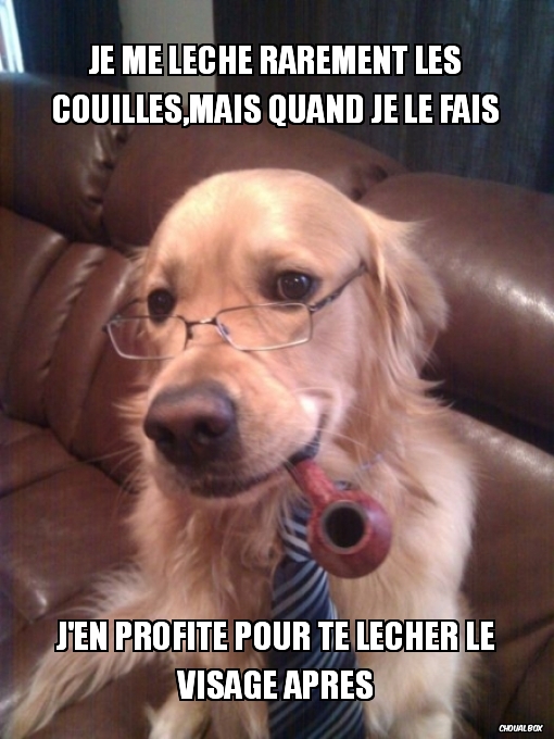 Je me lèche souvent les couilles