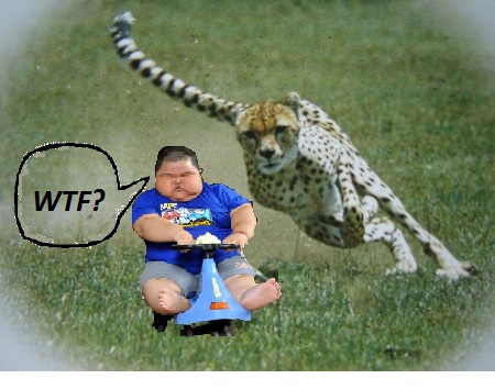 Animaux rapide vs Enfant lent : volume 1 .