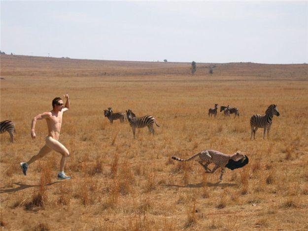 pu*** d\'animale sauvage !