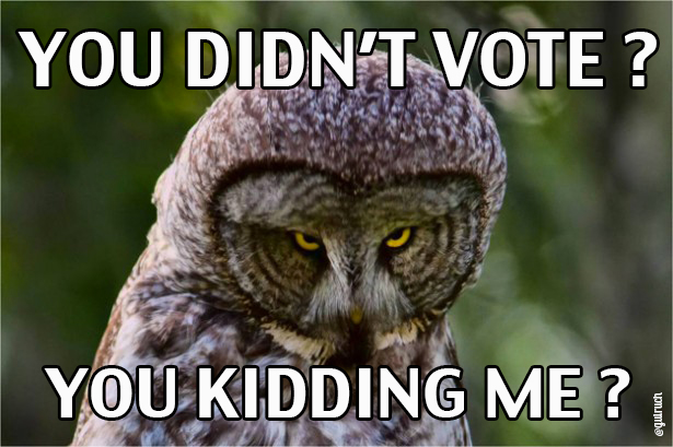 You didn\'t vote ?