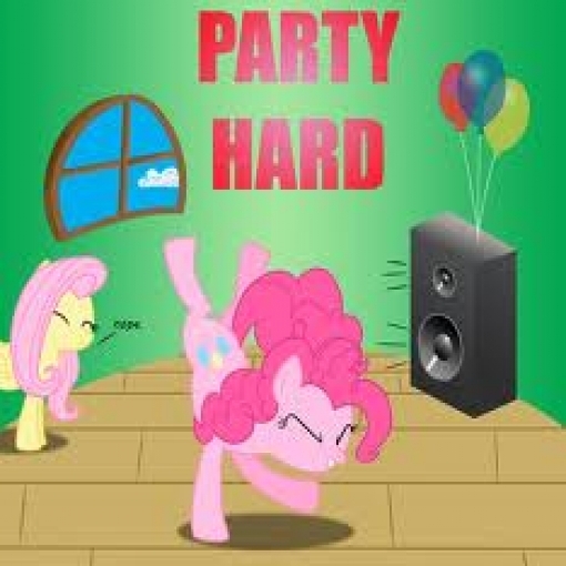 Party hard pony !