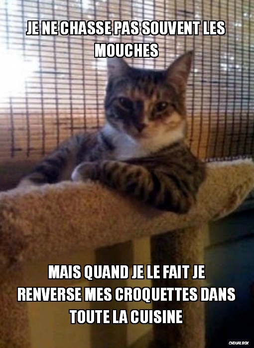 je ne chasse pas souvent les mouches