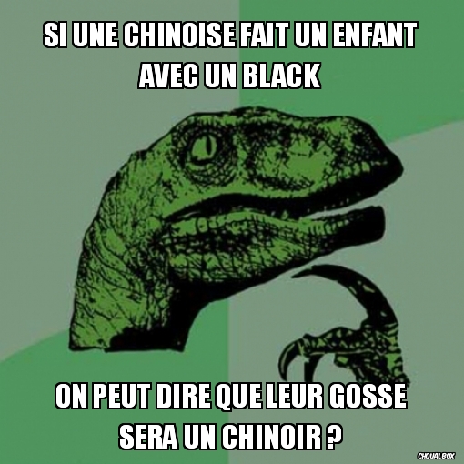 Si une chinoise fait un enfant avec un black