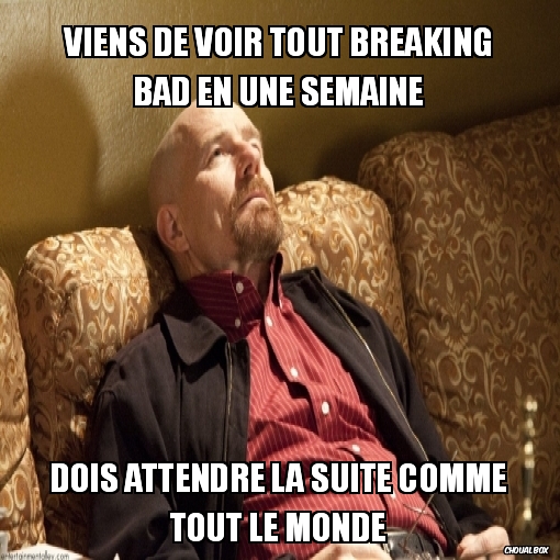 Viens de voir tout Breaking Bad en une semaine