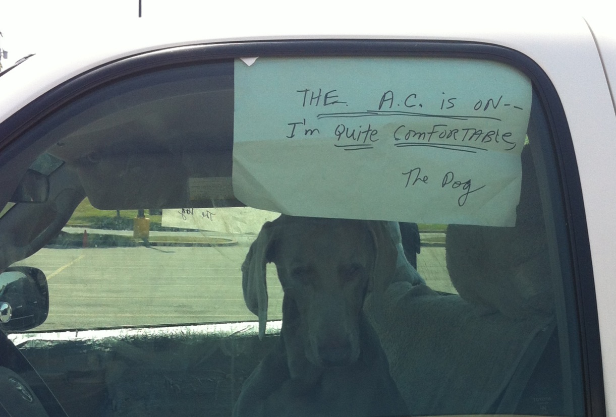 I\'m quite comfortable...