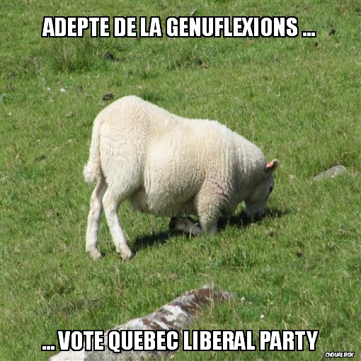 Adepte de la génuflexions ...