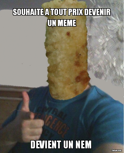 Souhaite a tout prix devenir un meme