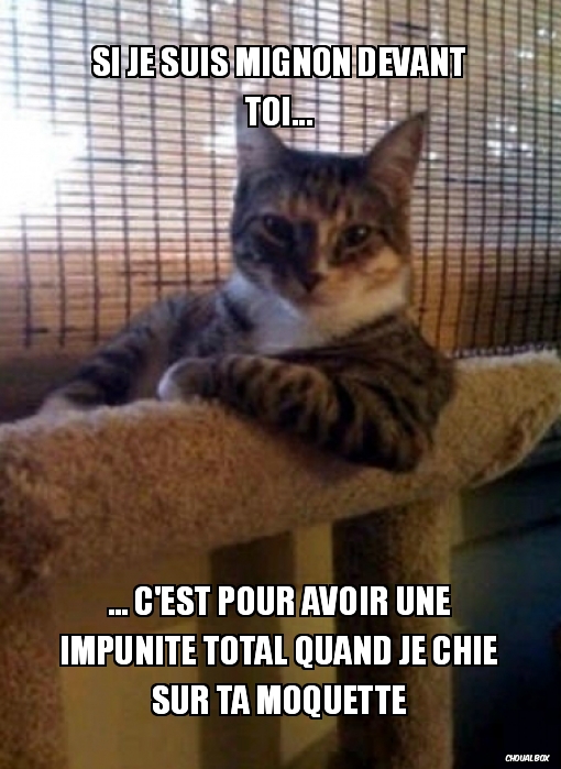 Si je suis mignon devant toi...