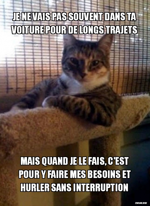 Je ne vais pas souvent dans ta voiture...