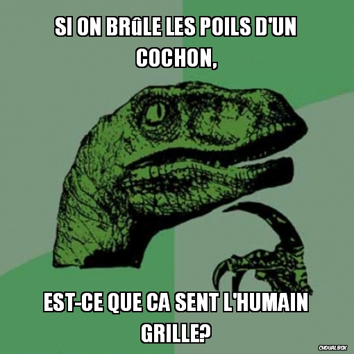 Si on brûle les poils d\'un cochon,
