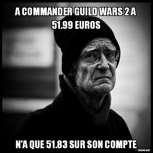 a commander Guild Wars 2 à 51.99 Euros