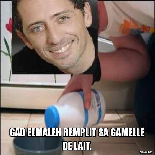 Gad Elmaleh