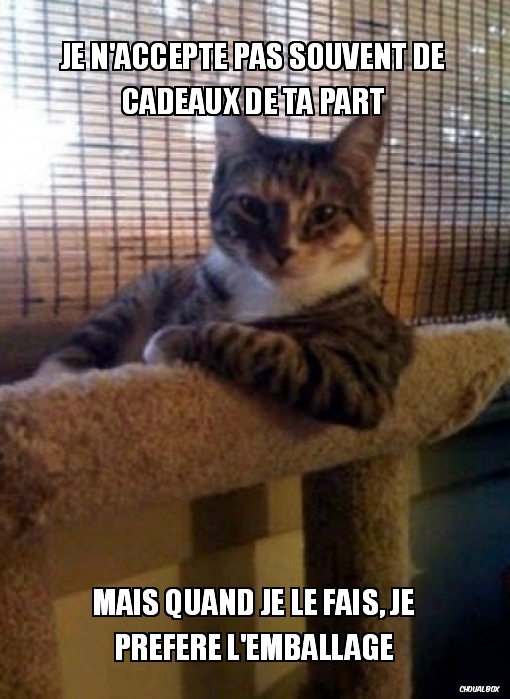 La logique d\'un chat