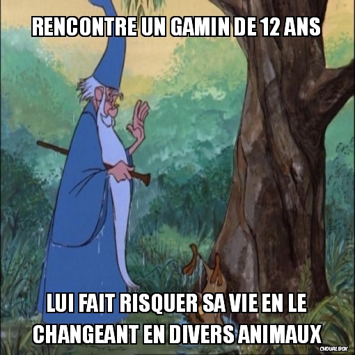 Responsabilité level Merlin