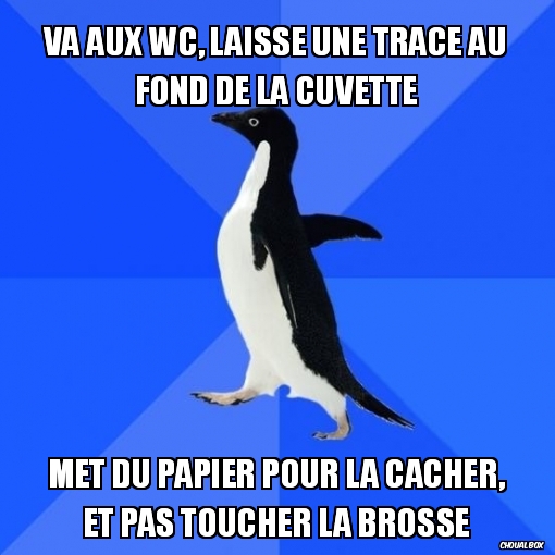 Va aux WC, laisse une trace au fond de la cuvette