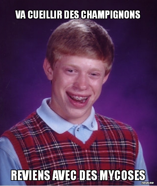 Va cueillir des champignons