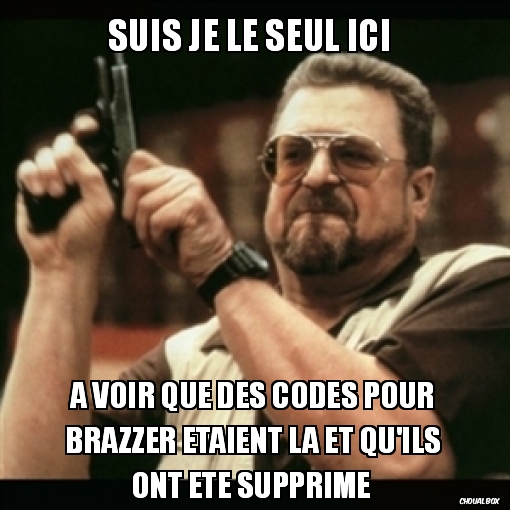 suis je le seul ici 