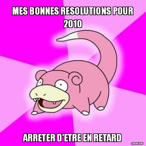 Mes bonnes résolutions pour 2010