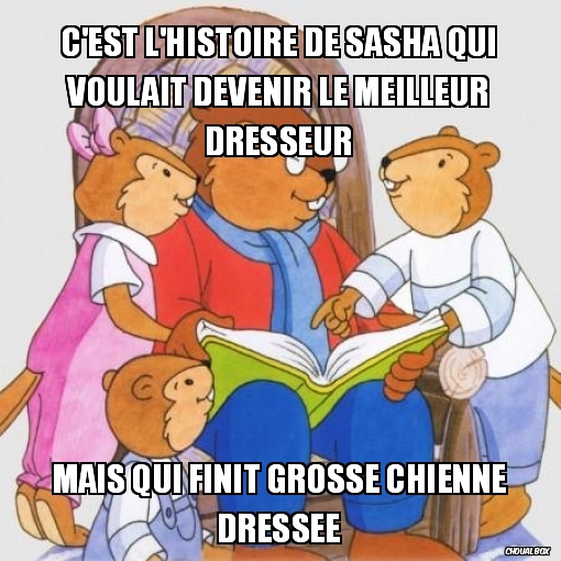 C\'est l\'histoire de Sasha