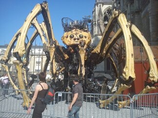 on fait quoi ce soir dexter?