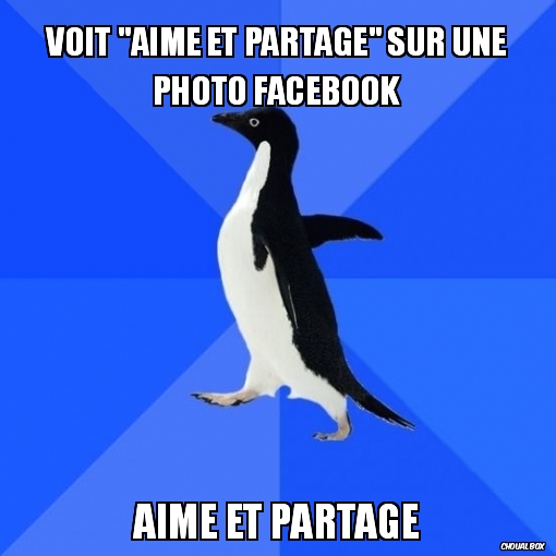 voit \"aime et partage\" sur une photo facebook