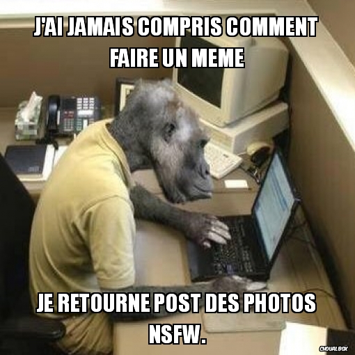 j\'ai jamais compris comment faire un meme