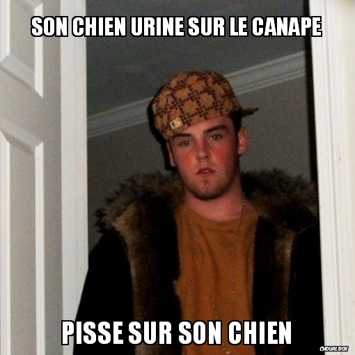 son chien urine sur le canapé