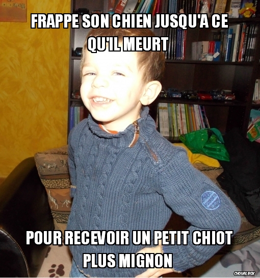 Frappe son chien 