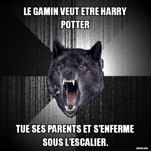 Le gamin veut être Harry Potter
