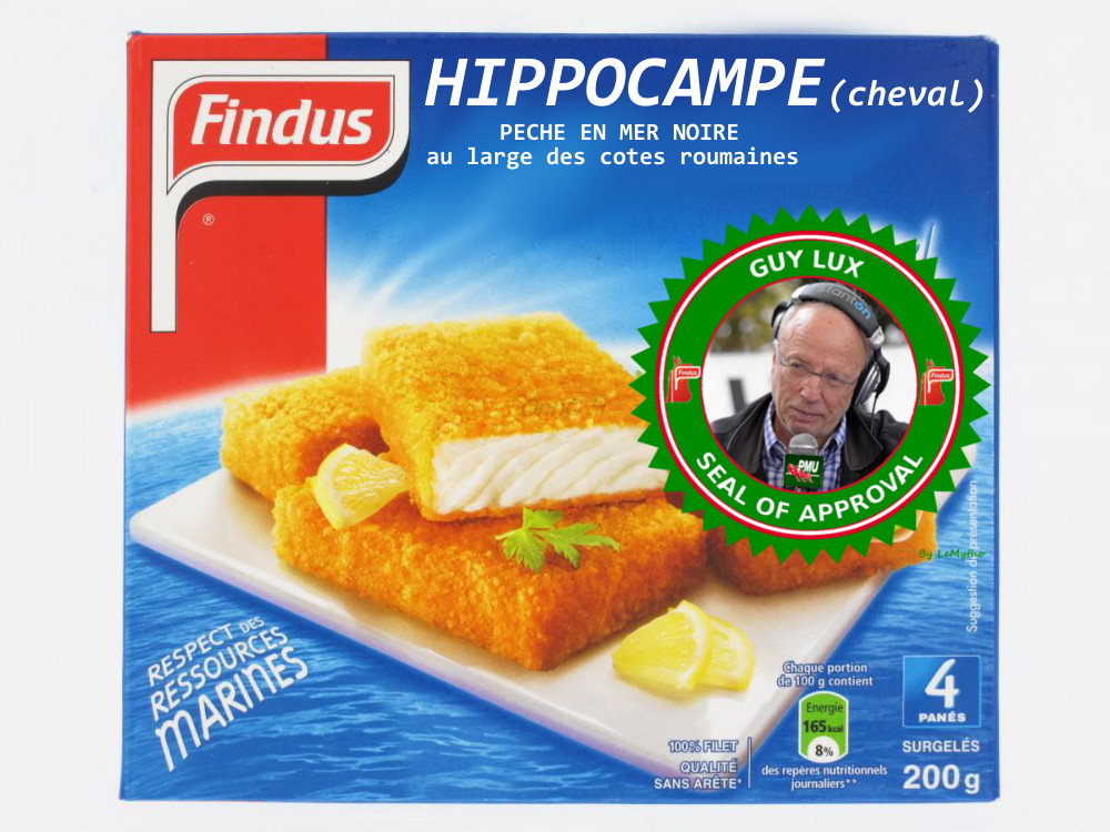 De savoureuses croquettes d\'hippocampe FINDUS