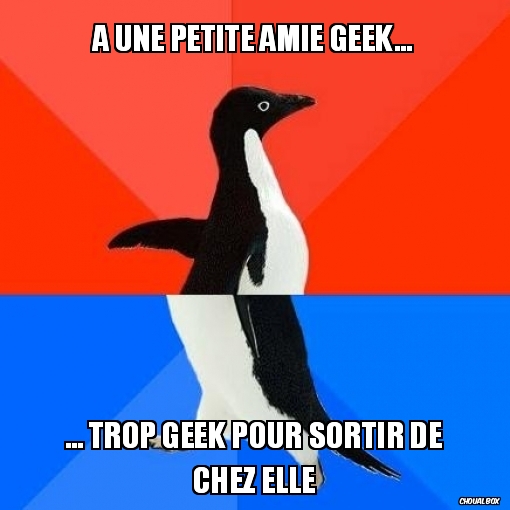 A une petite amie Geek...