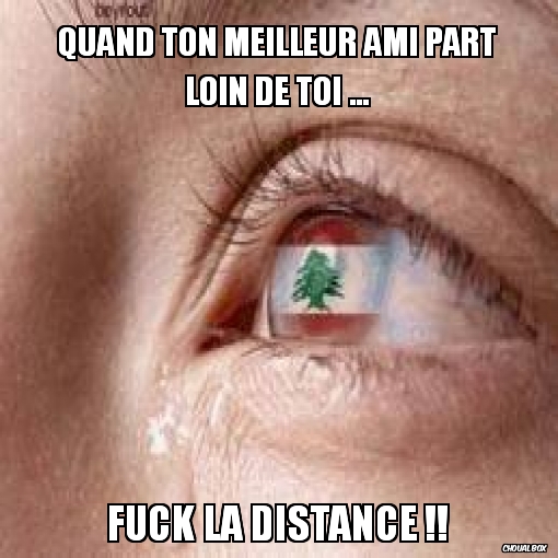 Quand ton meilleur ami part loin de toi ...