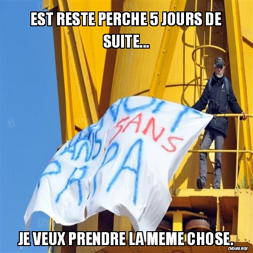 est resté perché 5 jours de suite...