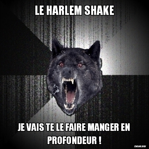 Le Harlem Shake