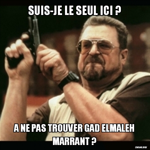 suis-je le seul ici ? (gad elmaleh)