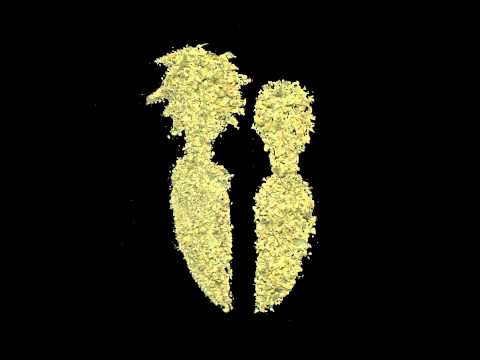 Où et que acheter ? (graines) 