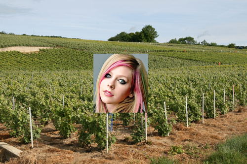 Avril La vigne