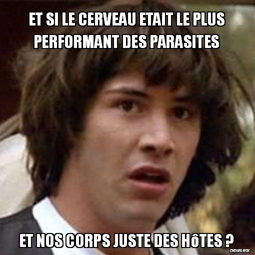 Et si le cerveau était le plus performant des parasites