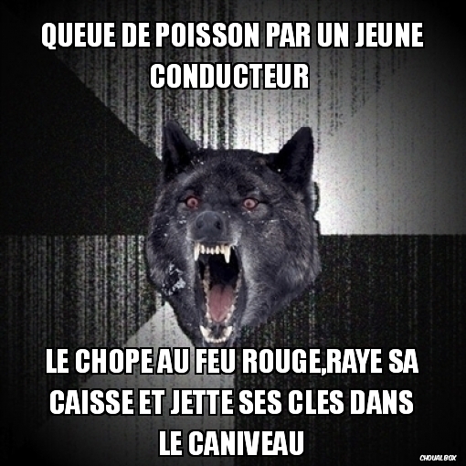 queue de poisson par un jeune conducteur 