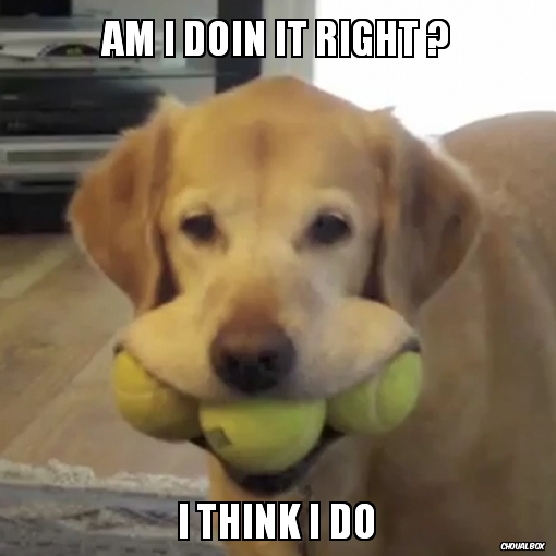 AM I DOIN IT RIGHT ?